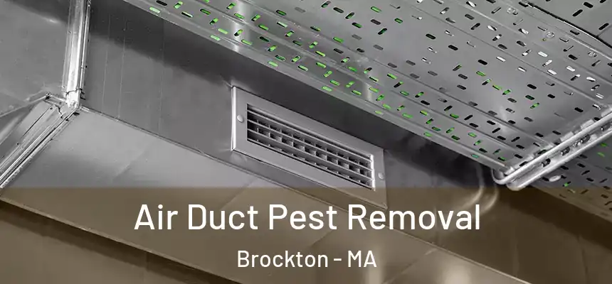 Air Duct Pest Removal Brockton - MA