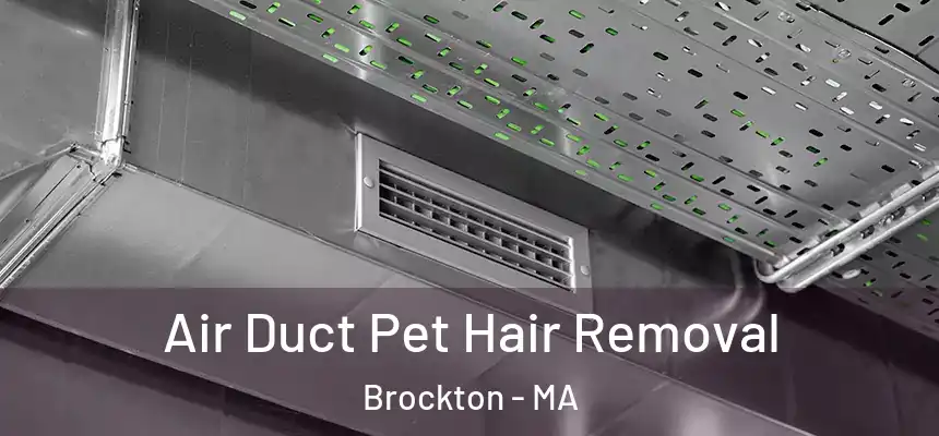 Air Duct Pet Hair Removal Brockton - MA