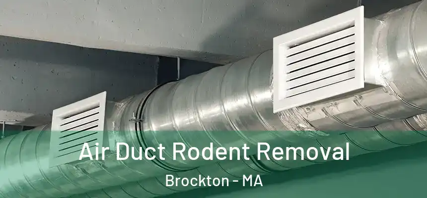 Air Duct Rodent Removal Brockton - MA