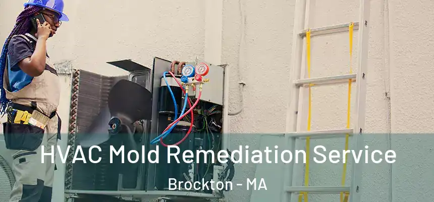 HVAC Mold Remediation Service Brockton - MA