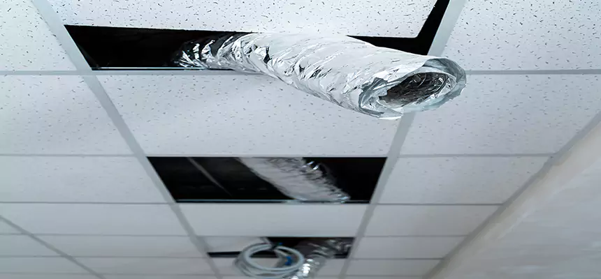 Our Air Duct Pet Hair Removal Services in Brockton, MA