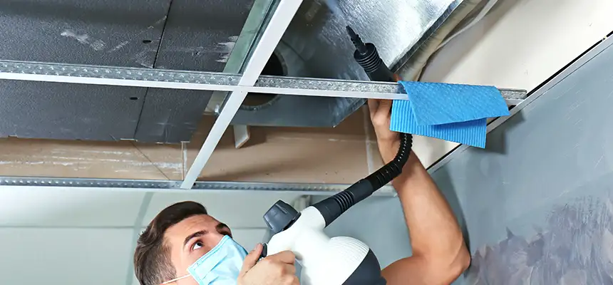 Our Air Duct Rodent Removal Services in Brockton, MA