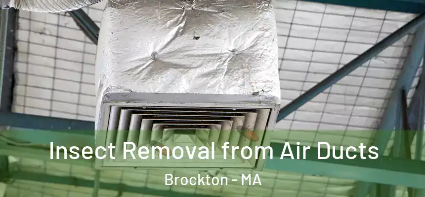  Insect Removal from Air Ducts Brockton - MA