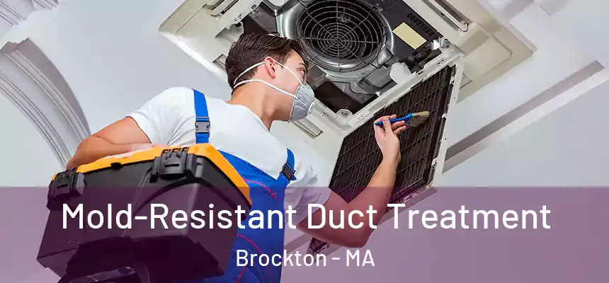 Mold-Resistant Duct Treatment Brockton - MA