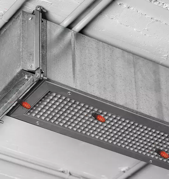 About Air Duct Cockroach Removal in Brockton, MA