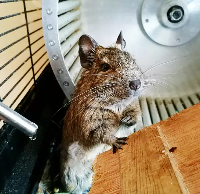 Why Homeowners & Businesses Trust Us Brockton, MA?