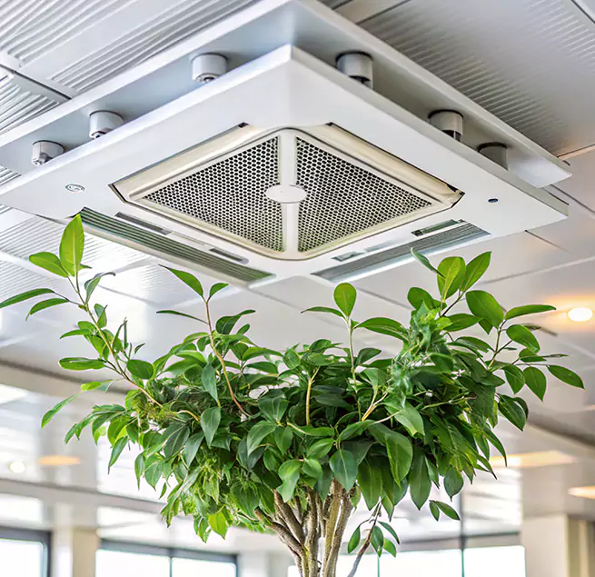 Why Homeowners & Businesses Trust Us in Brockton, MA?